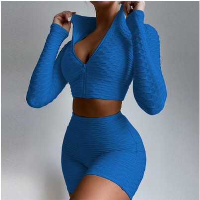 Women's 2-Piece Textured Zip-Up Crop Top and High Waist Shorts Athletic Set